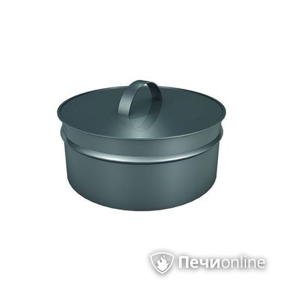 Заглушки Теплов и Сухов Заглушка ревизии Термо-Р 304 0.5 D300(200) в Надыме